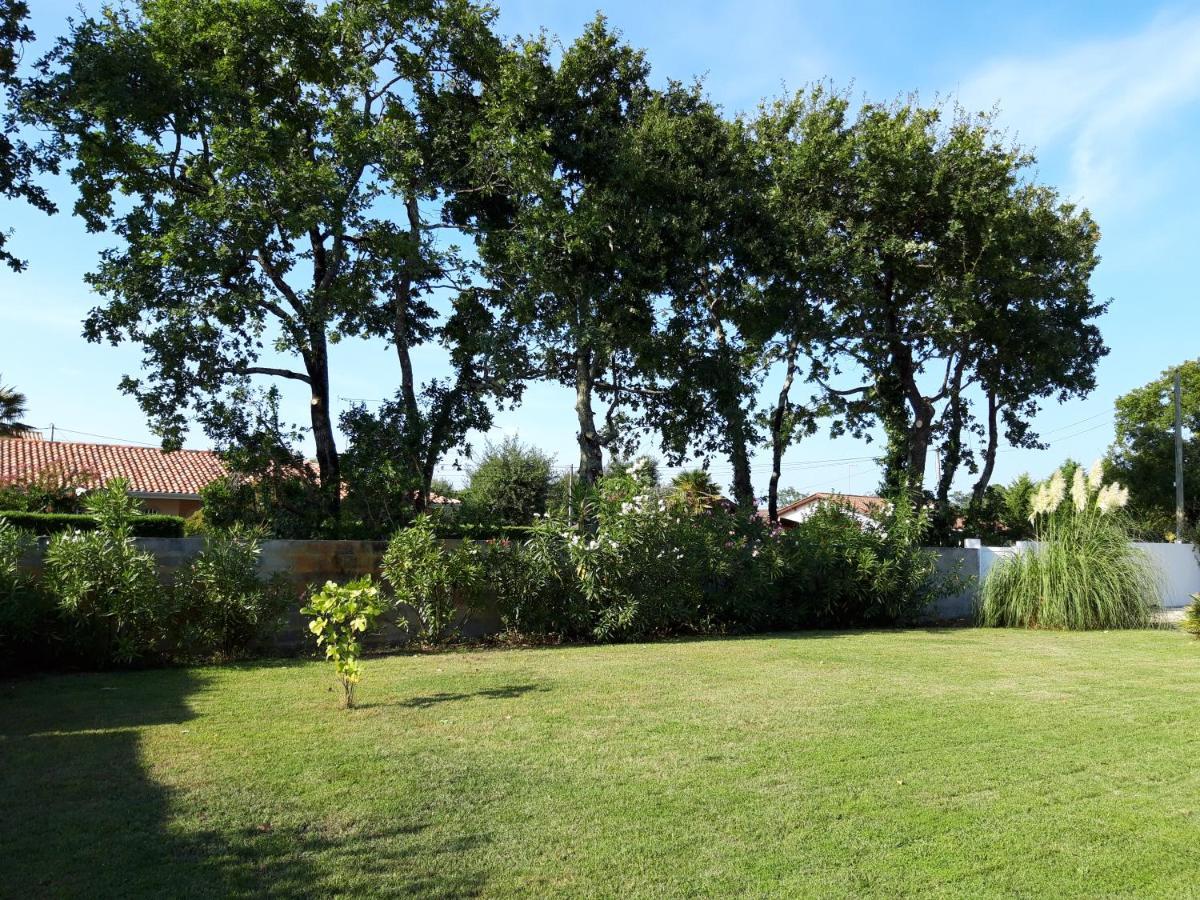 أنديرنو لي بان Agreable Maison Sur Le Bassin D'Arcachon المظهر الخارجي الصورة